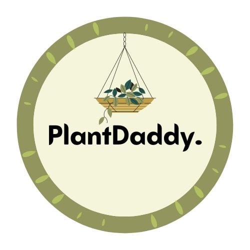 PlantDaddy (1)