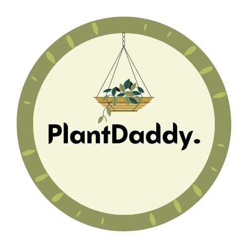 PlantDaddy (1)